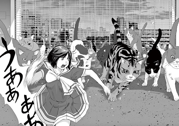 Wonderland-manga-image-878
